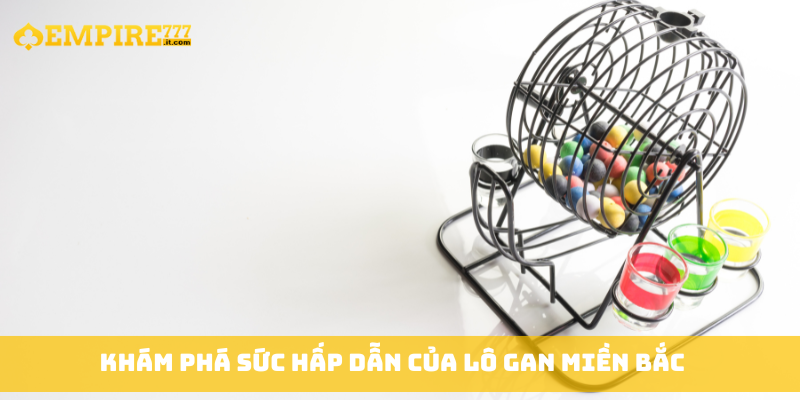 Khám phá sức hấp dẫn của lô gan miền Bắc