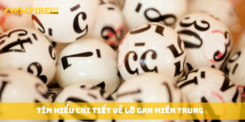 Tìm hiểu chi tiết về lô gan miền Trung